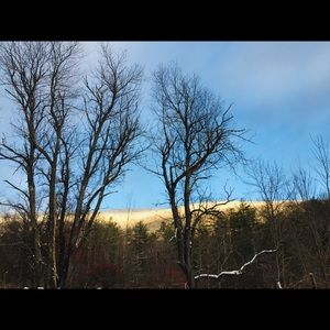 Meet your Posher, Elena